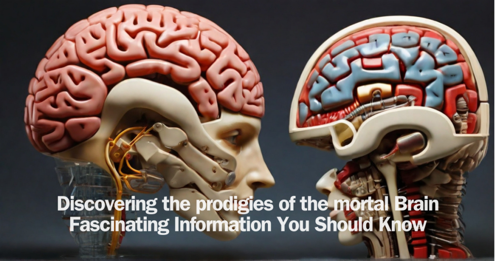 Discovering the prodigies of the mortal Brain Fascinating Information You Should Know
