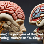 Discovering the prodigies of the mortal Brain Fascinating Information You Should Know